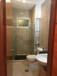 Thomson Vale (D11), Apartment #155814442